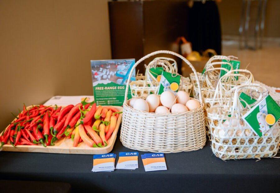 CASFARM x UNWOMEN – WE RISE TOGETHER FOR ZERO HUMANE EGGS — CASFarm